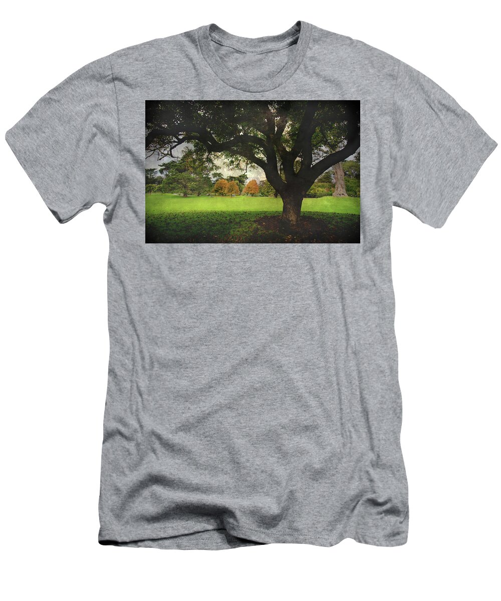 Trees T-Shirt featuring the photograph Throw Your Arms Around the World by Laurie Search
