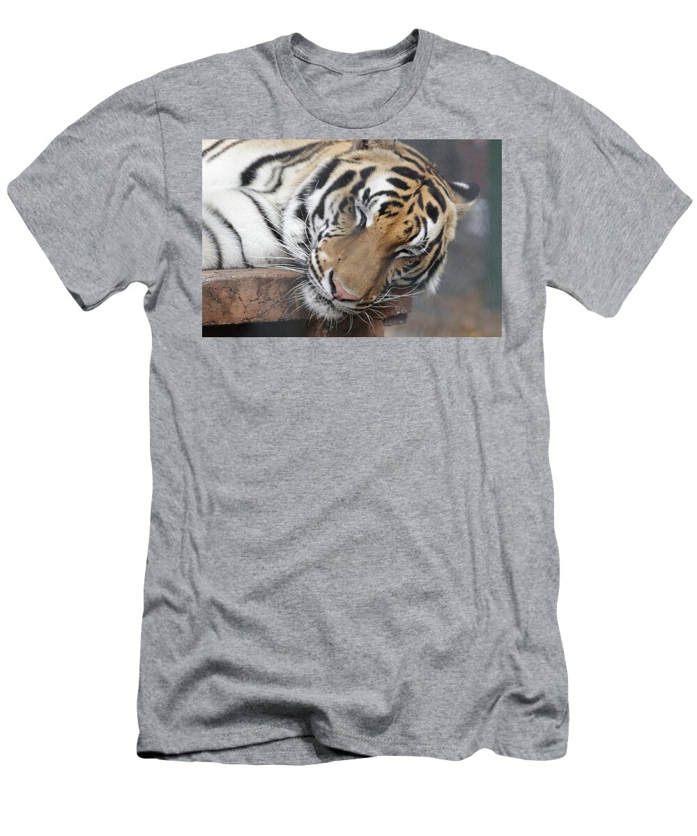 Tiger T-Shirt featuring the photograph Tiger 2 by Jim Allsopp