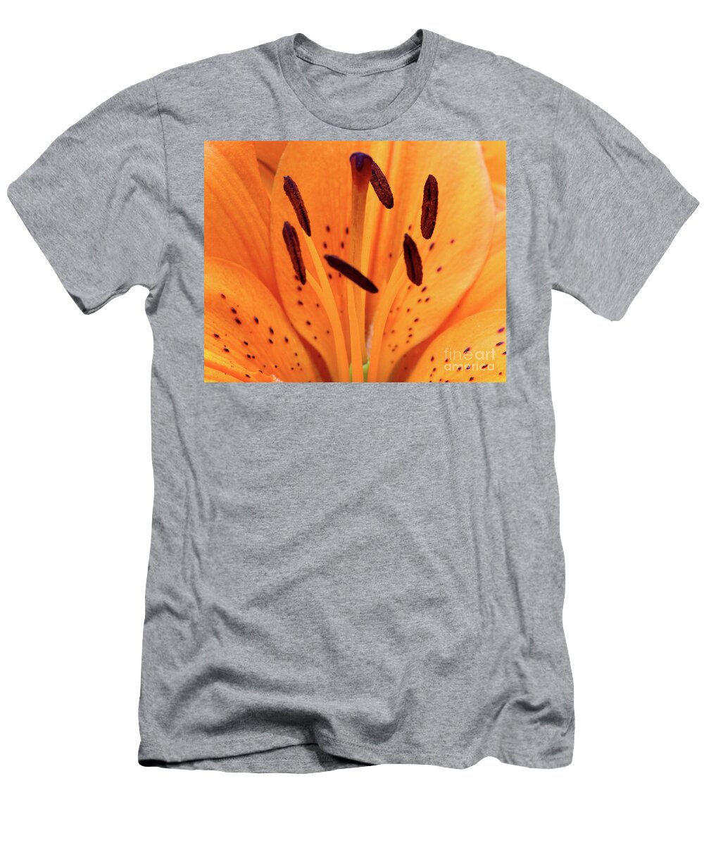 Flora T-Shirt featuring the photograph Tiger Macro by Stephen Melia