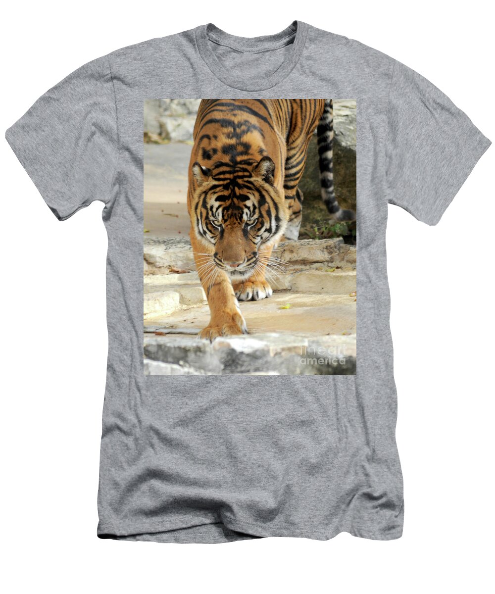 Africa T-Shirt featuring the photograph Tiger On The Prowl by Gunther Allen