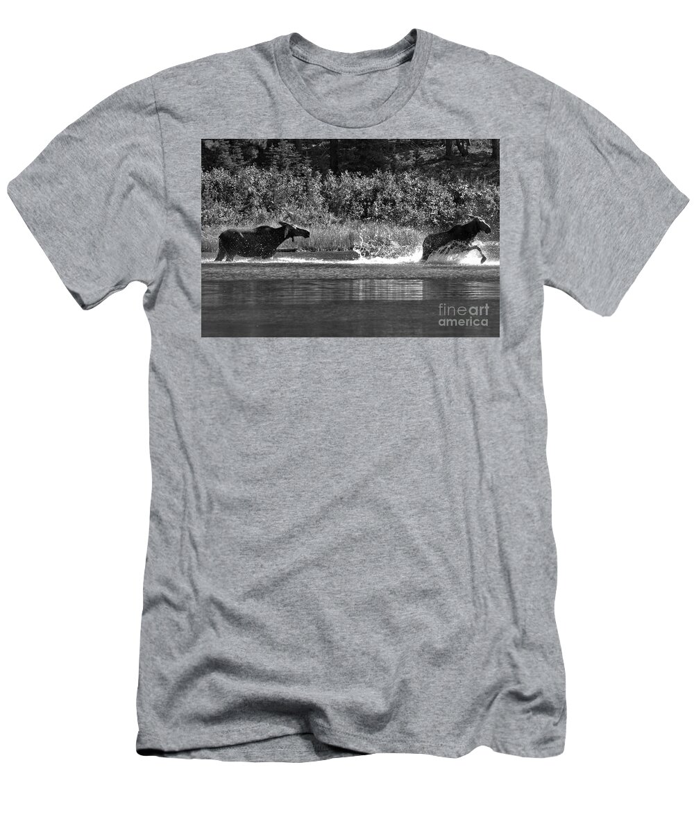 Moose T-Shirt featuring the photograph Too Close For Comfort Black And White by Adam Jewell