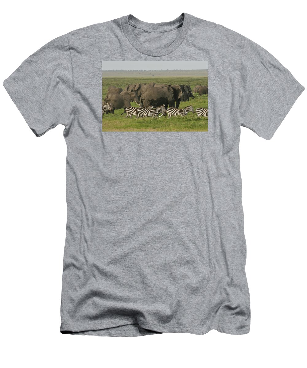 Gary Hall T-Shirt featuring the photograph Travelling Companions by Gary Hall