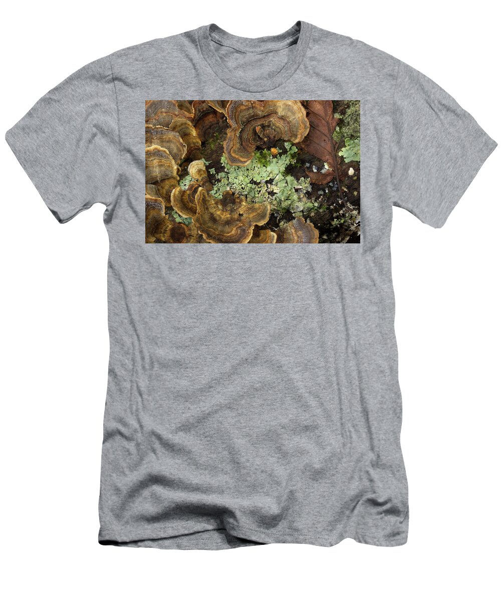 Fungus T-Shirt featuring the photograph Tree Fungus by Mike Eingle