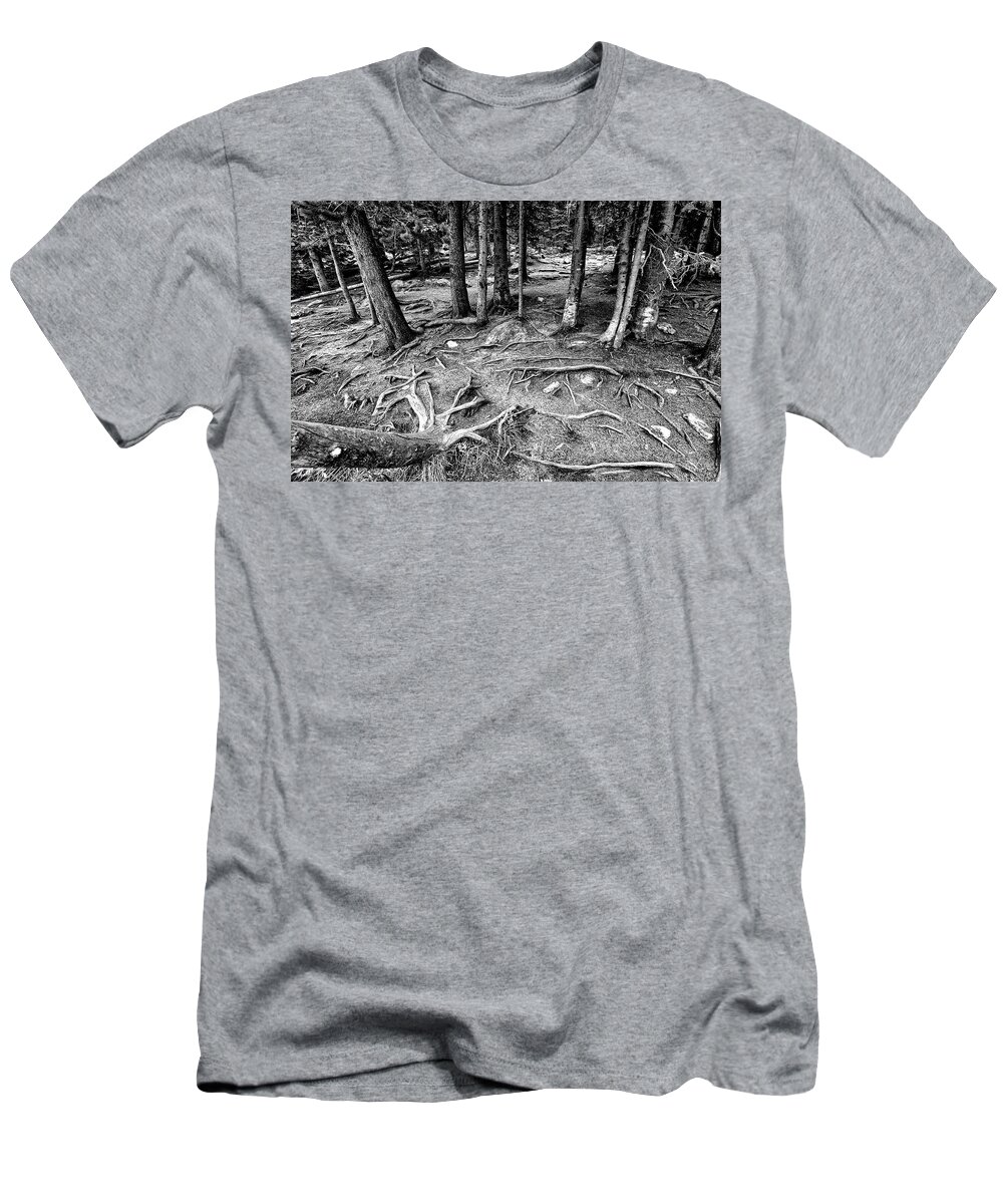 Landscape T-Shirt featuring the photograph Tree Roots Bear lake,co by James Steele