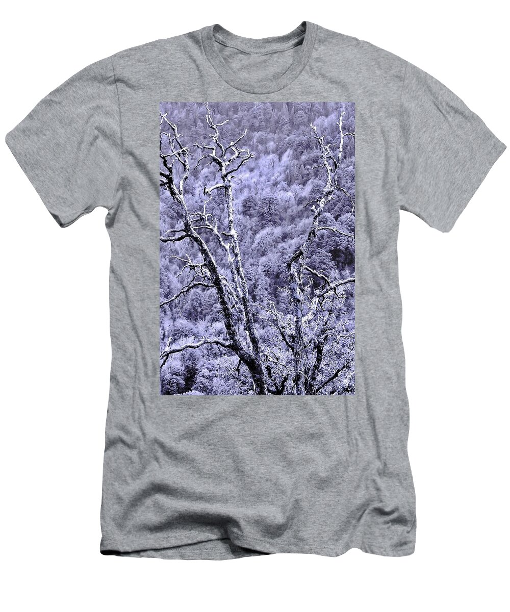 Tree T-Shirt featuring the photograph Tree Sprite by Kim Bemis