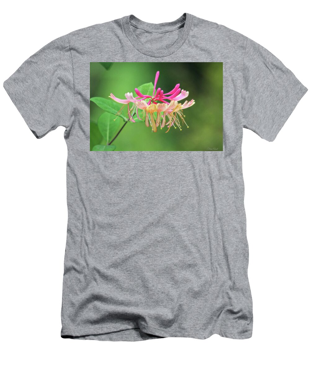 Honeysuckle T-Shirt featuring the photograph Trumpet Honeysuckle by Trina Ansel