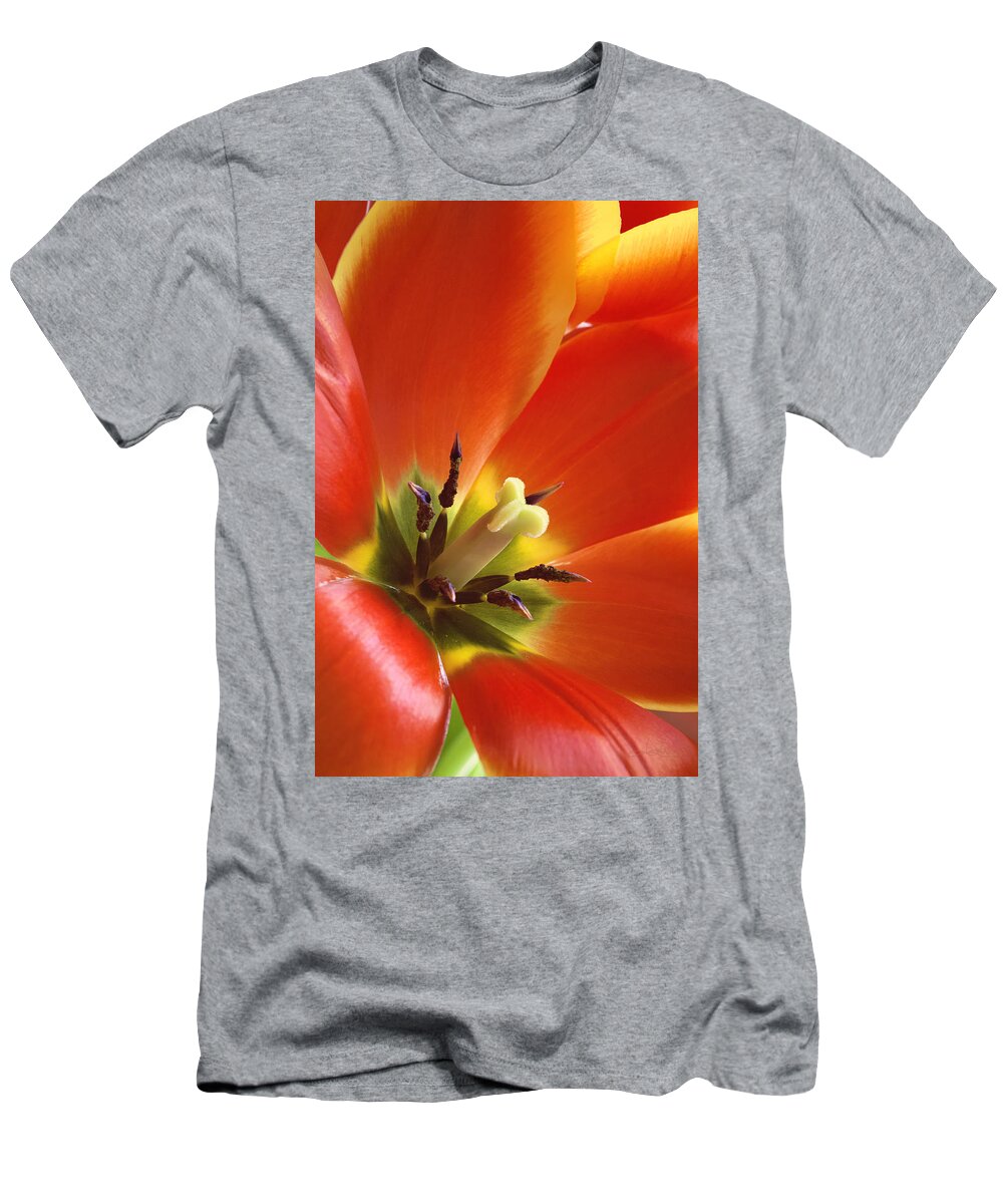 Orange Flower T-Shirt featuring the photograph Tuliplicious by Jill Love