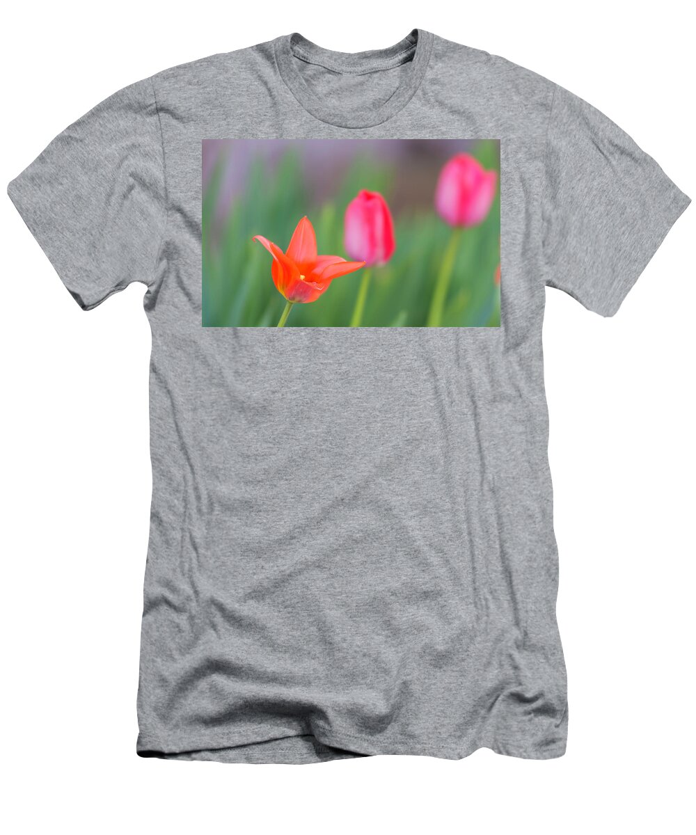 Petal T-Shirt featuring the photograph Tulips in my garden by Rainer Kersten