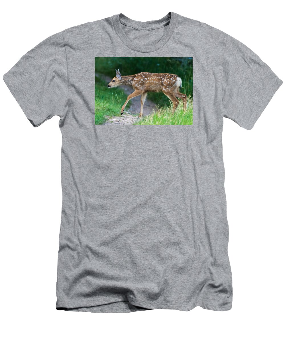 Mule Deer Fawn T-Shirt featuring the photograph Twilight Fawn #4 by Mindy Musick King