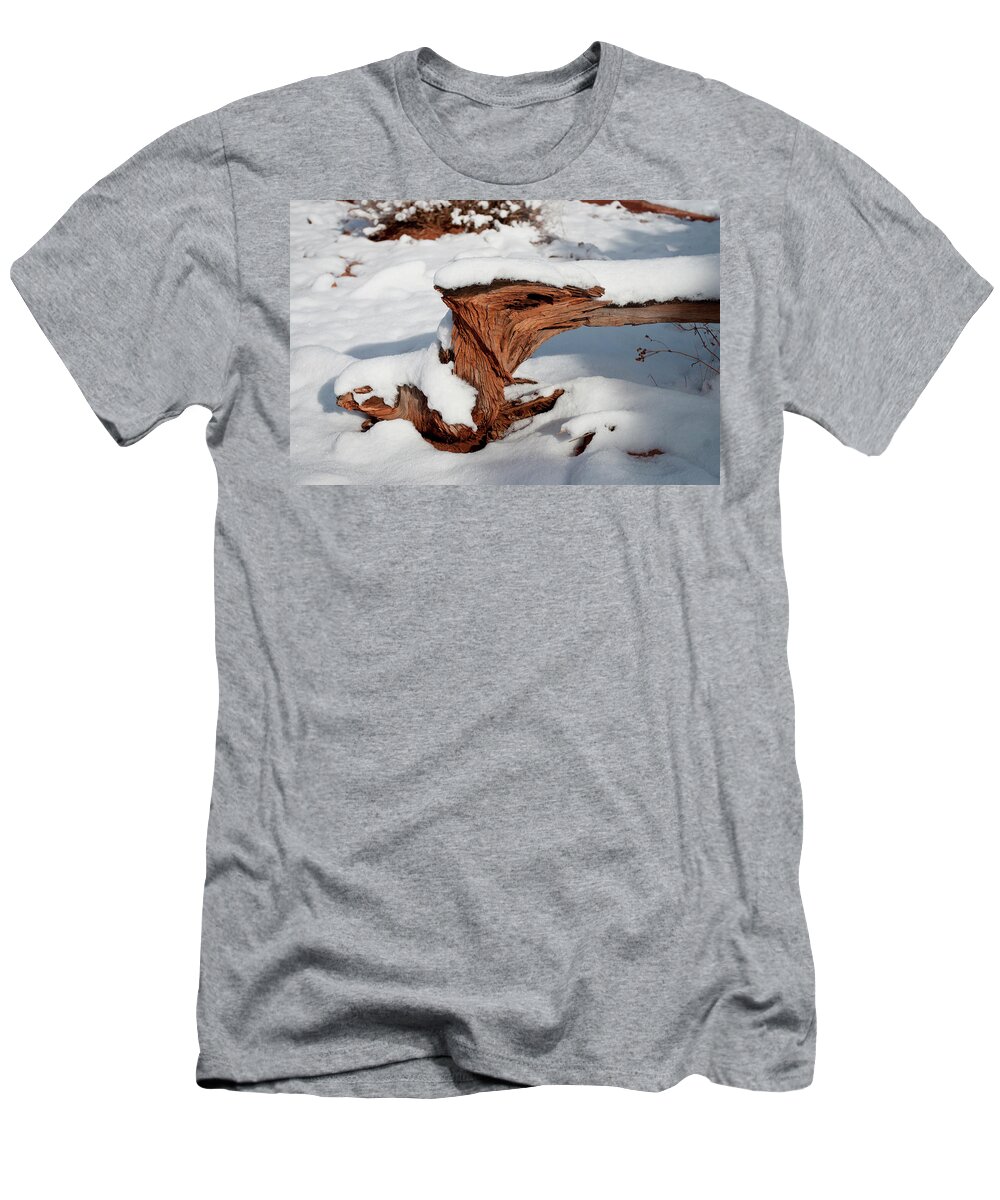 Colorado T-Shirt featuring the photograph Twisted Root by Julia McHugh