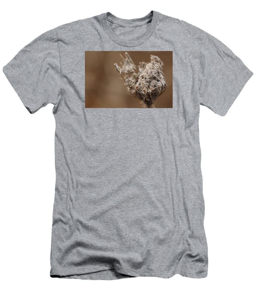 Wild Flower T-Shirt featuring the photograph Queen Anne's lace by David Bigelow