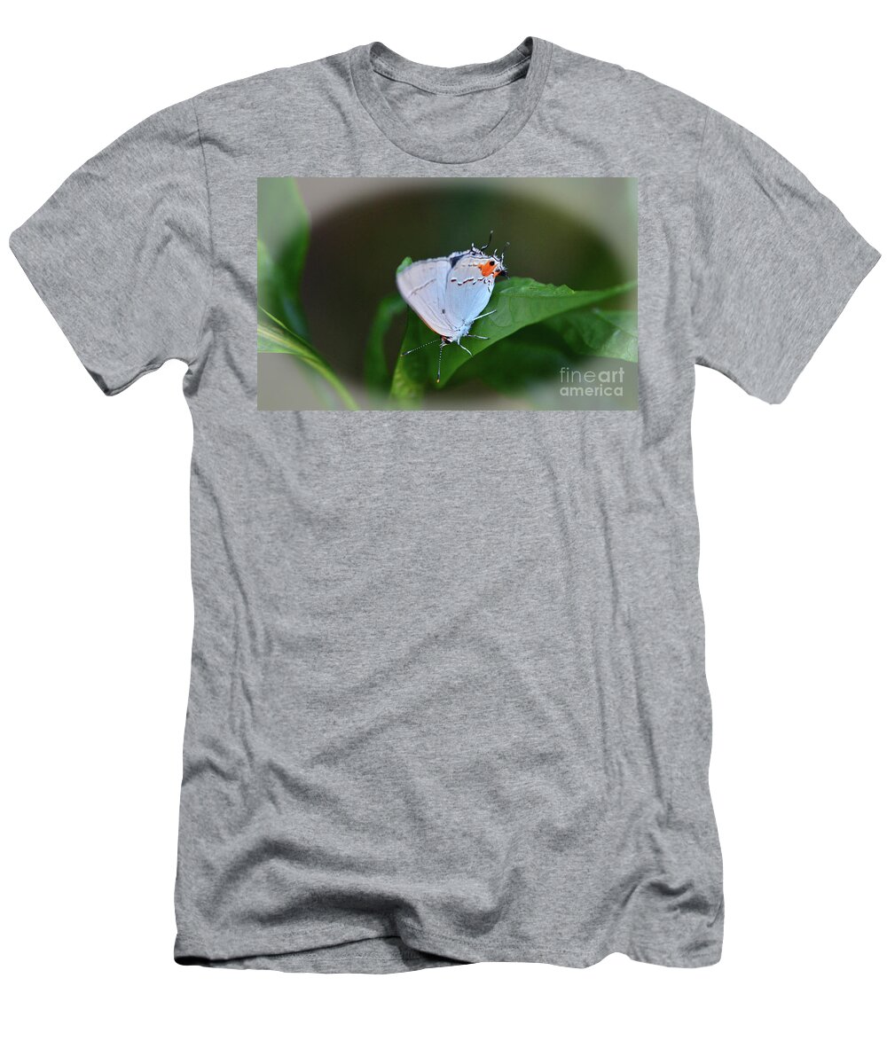 Butterfly T-Shirt featuring the photograph Upside Down by Debby Pueschel