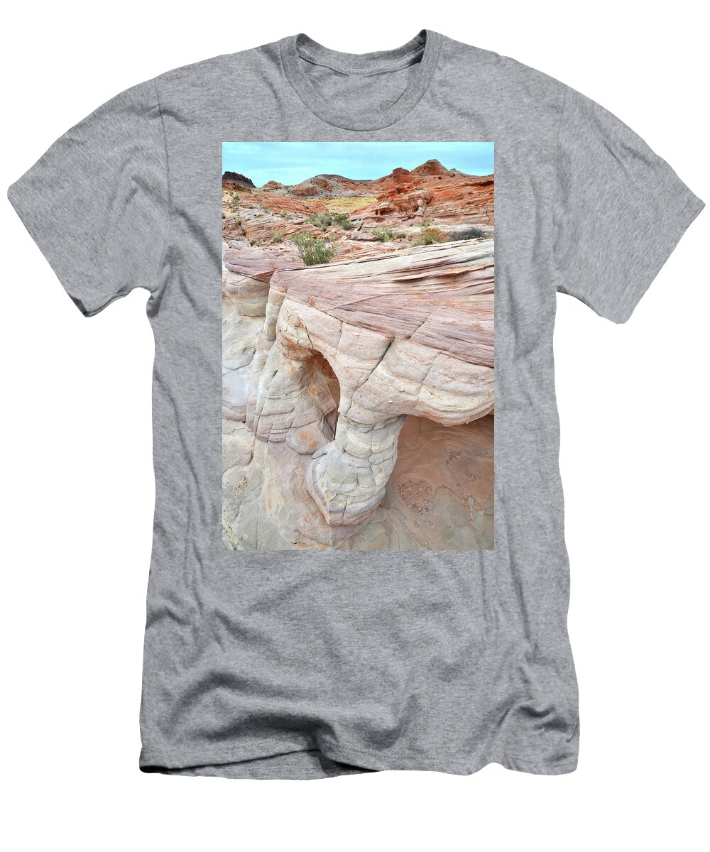 Valley Of Fire T-Shirt featuring the photograph Valley of Fire's Wash 3 by Ray Mathis