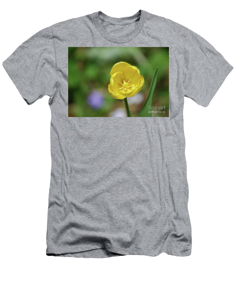 Tulip T-Shirt featuring the photograph Very Pretty Flowering Yellow Tulip Blooming in a Garden by DejaVu Designs