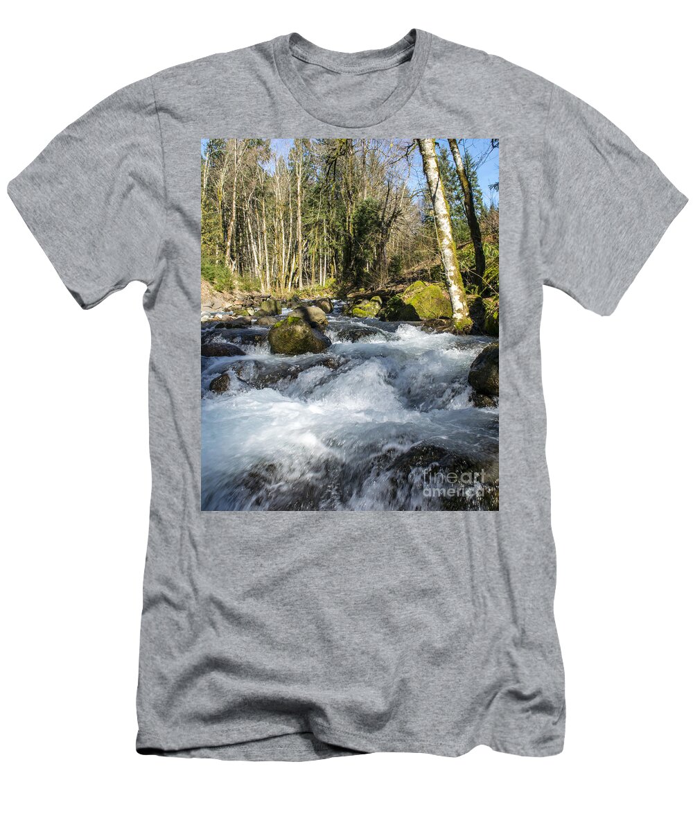 Streams T-Shirt featuring the photograph Views Of A Stream, III by Chuck Flewelling