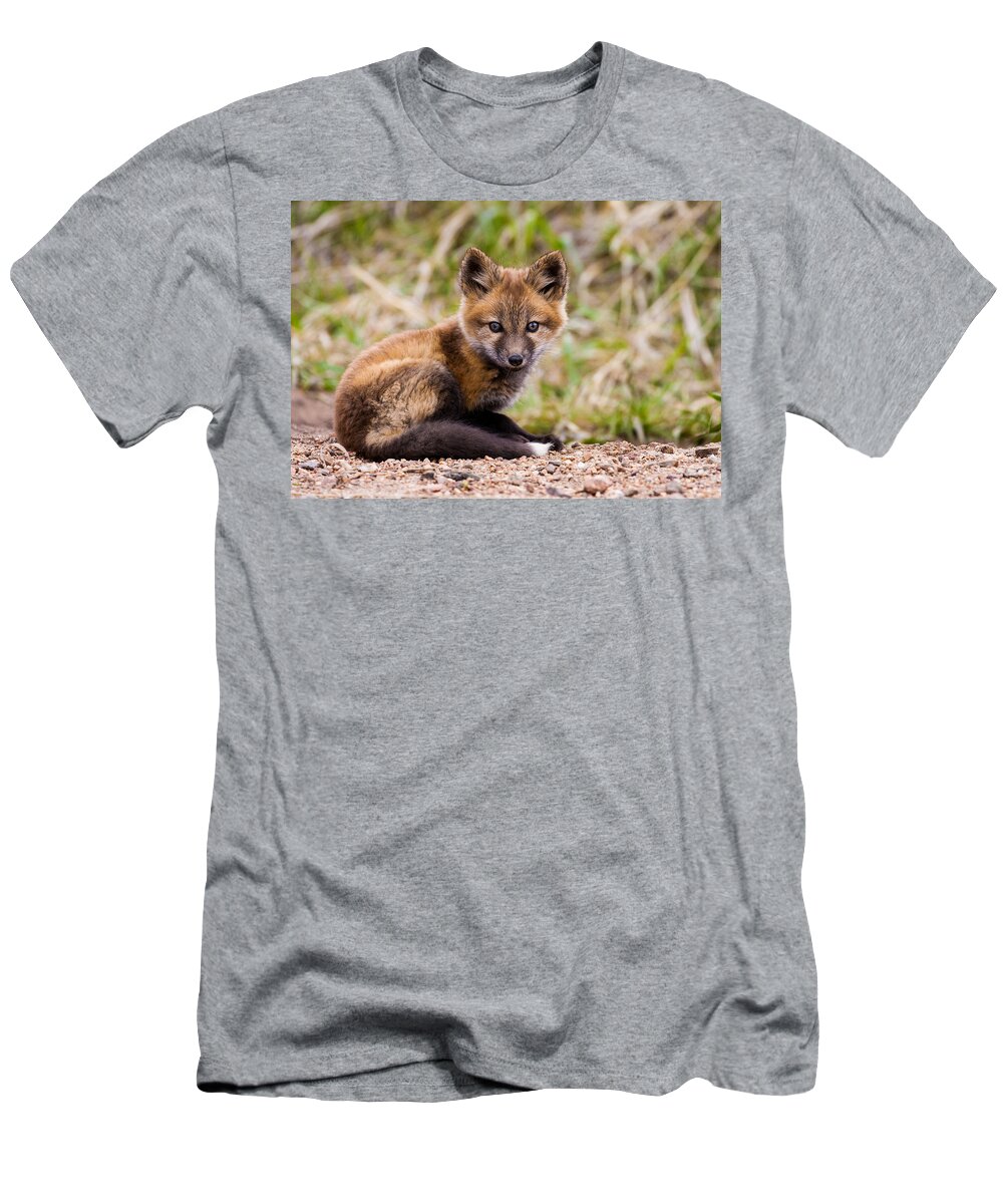 Fox Kit T-Shirt featuring the photograph Waiting For Mom by Mindy Musick King