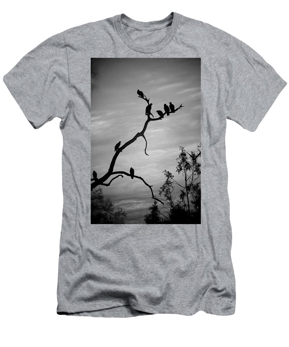 Vultures T-Shirt featuring the photograph Waiting by Robert Meanor