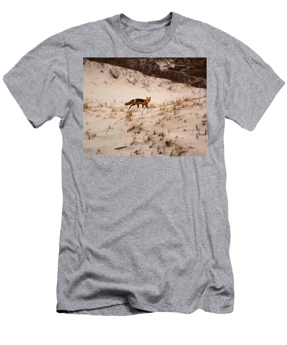 Walking Red Fox T-Shirt featuring the photograph Walking Fox by Raymond Salani III