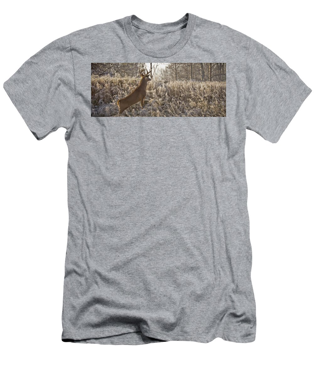Animals T-Shirt featuring the photograph Wary Buck by Albert Seger
