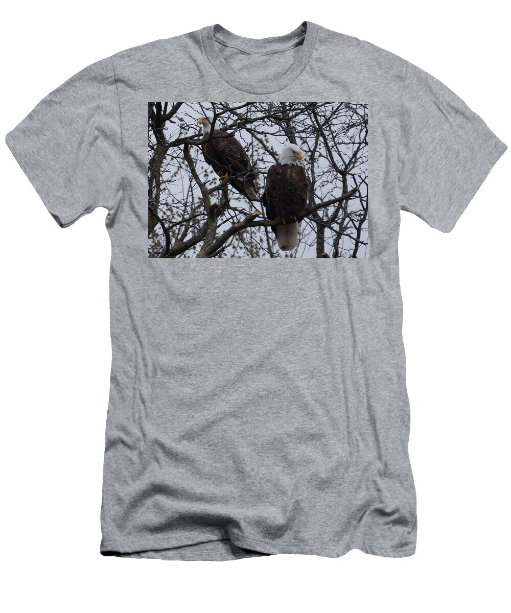 Bald Eagle T-Shirt featuring the photograph Watch and Wait by Beth Collins
