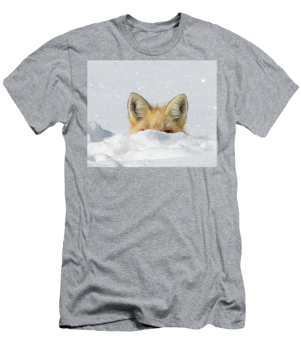 Fox T-Shirt featuring the photograph Watchful Eye by Kevin Dietrich