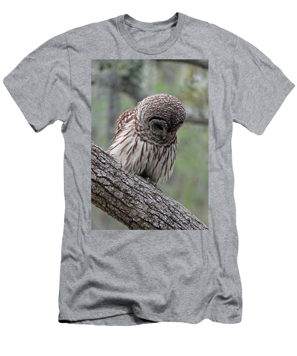 Photograph T-Shirt featuring the photograph Watching for Food by Suzanne Gaff