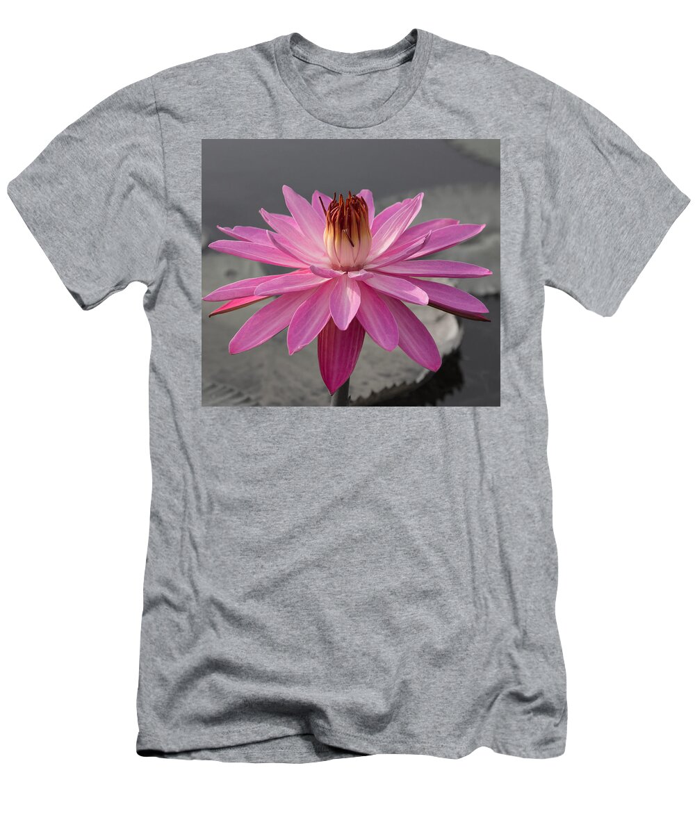 Lilly Shoot T-Shirt featuring the photograph Water Lilly Popping by Richard Goldman