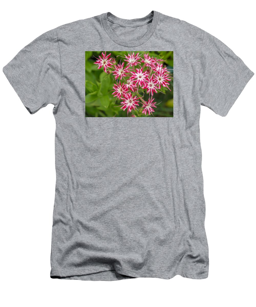 Flowers T-Shirt featuring the photograph Welcome To Spring. by Fred Boehm