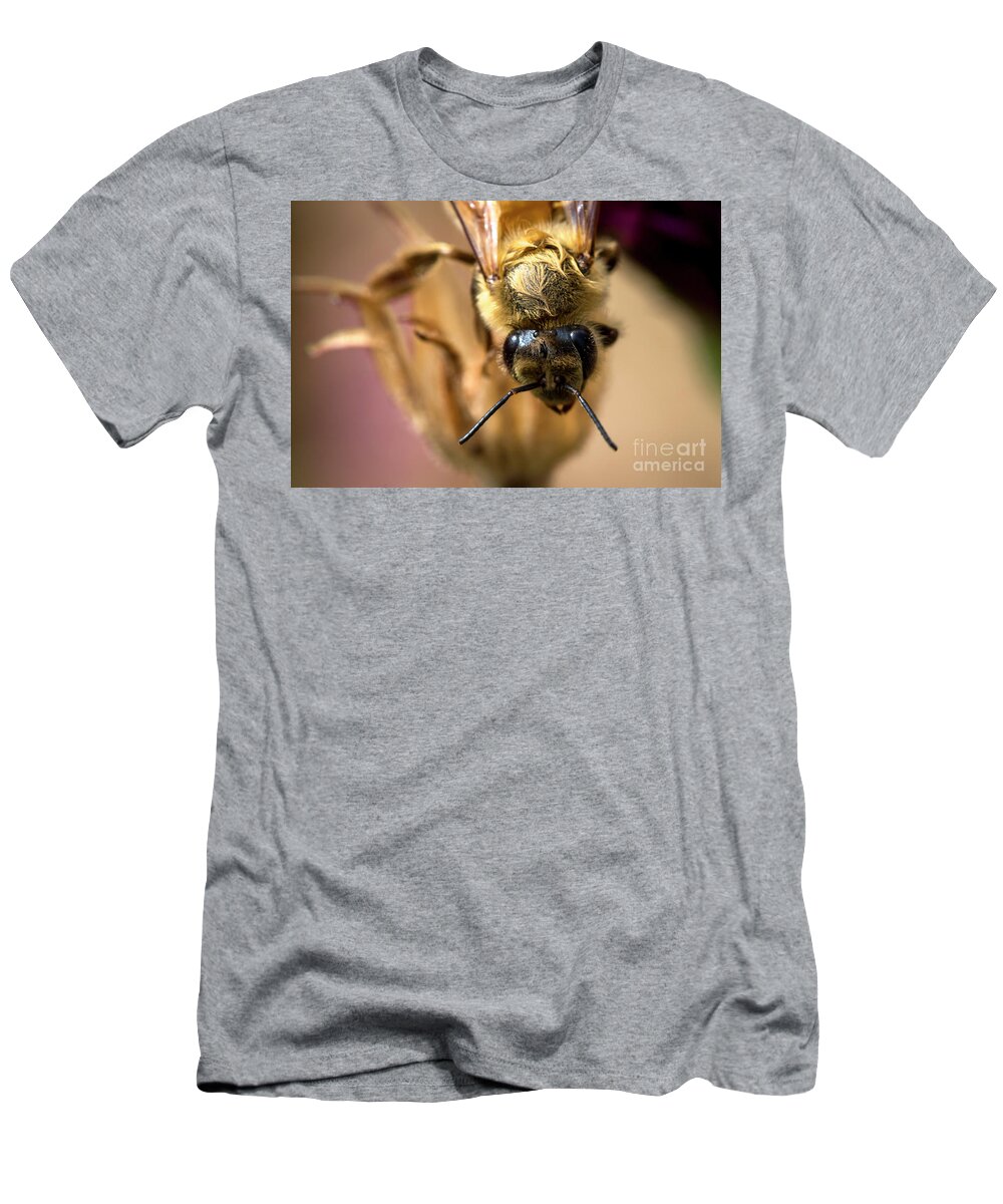 Frontal T-Shirt featuring the photograph What're you looking at? by Shawn Jeffries