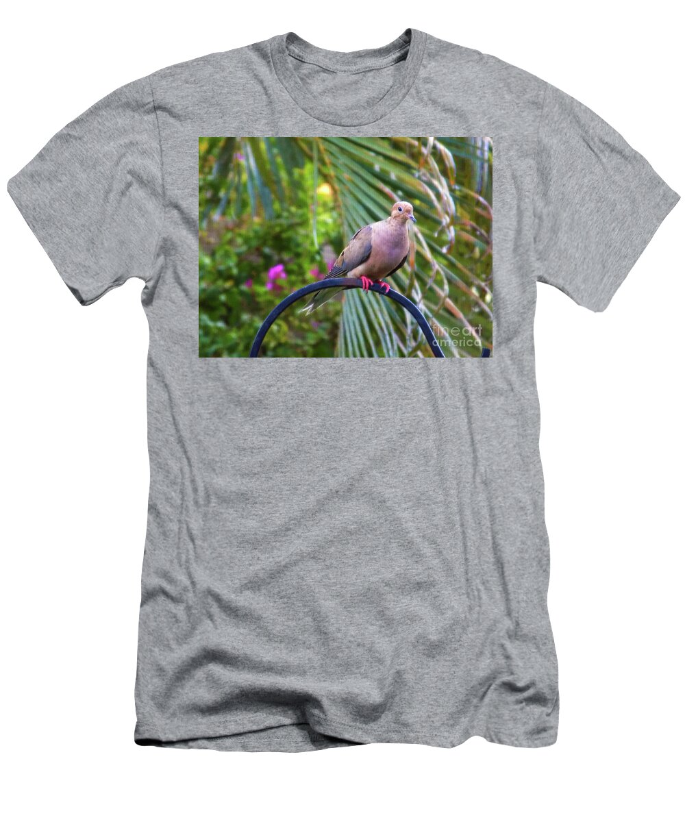 Dove T-Shirt featuring the photograph What's going on Ver 2 by Larry Mulvehill