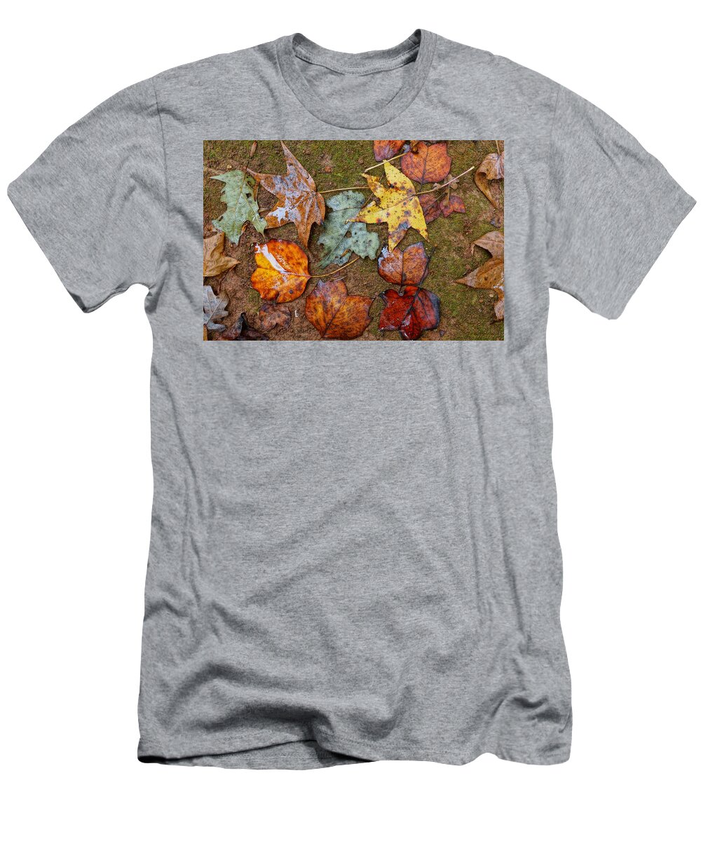  T-Shirt featuring the photograph When November Comes 3 by Rodney Lee Williams