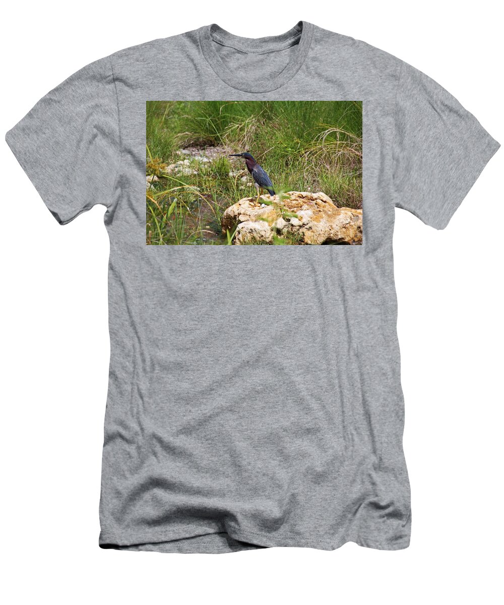 Green Heron T-Shirt featuring the photograph When the Wind Whistles by Michiale Schneider