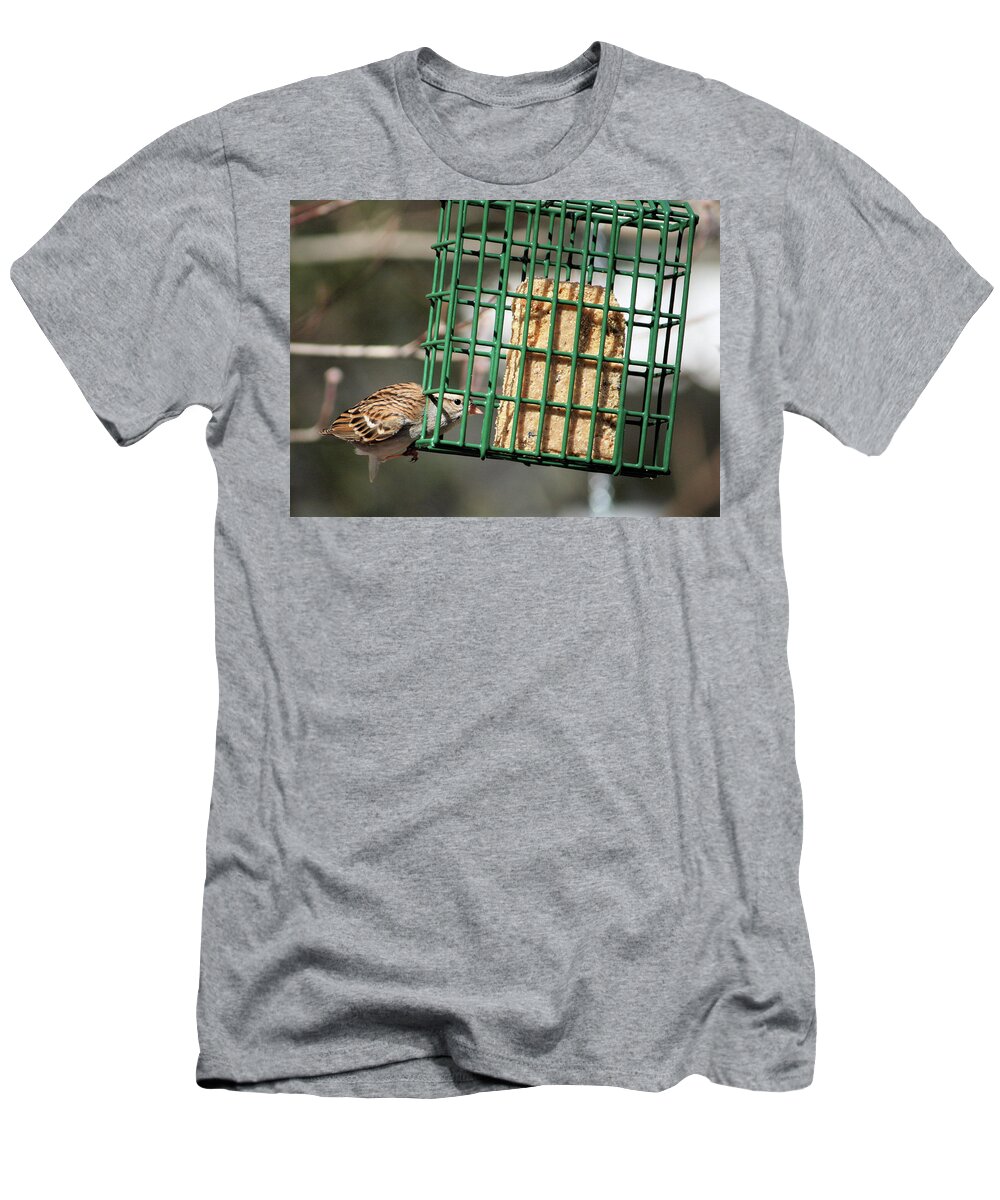 Sparrow T-Shirt featuring the photograph Where There's A Will by Cathy Harper