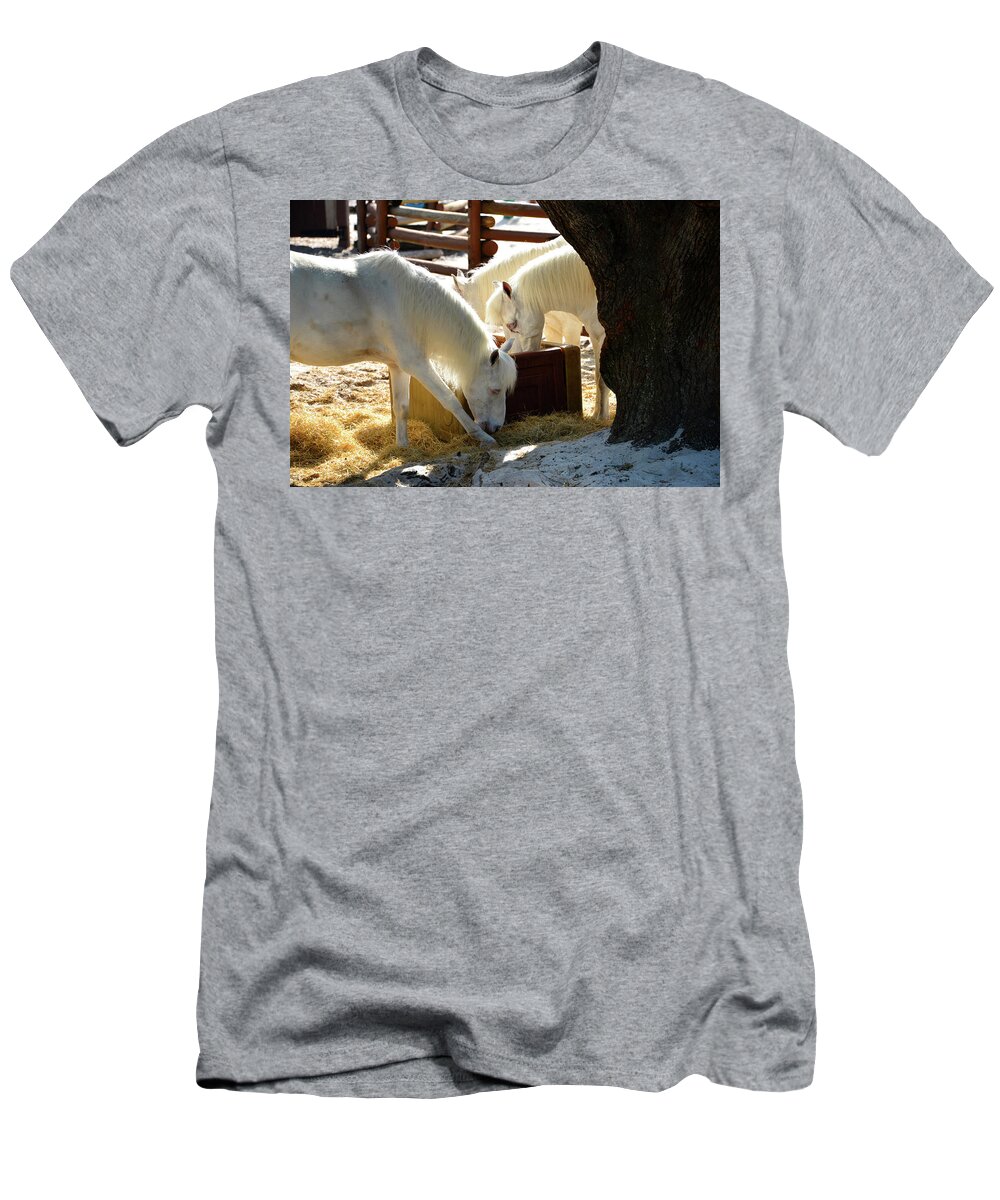 Horse T-Shirt featuring the photograph White Horses feeding by David Lee Thompson