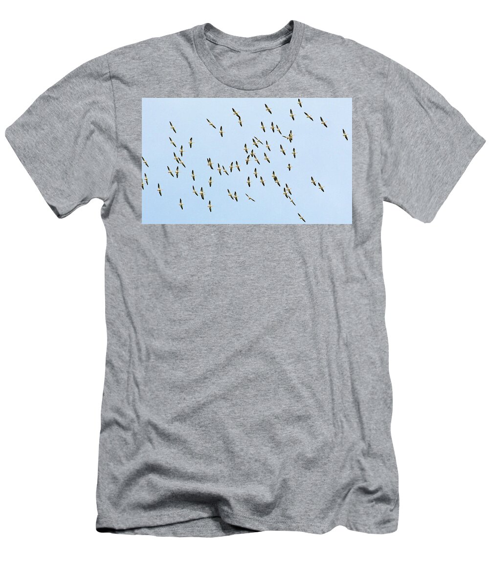 White T-Shirt featuring the photograph White Pelican Migration by Ted Keller
