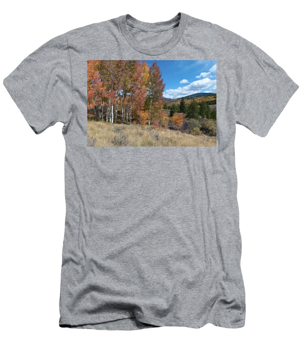White River National Forest T-Shirt featuring the photograph White River National Forest Autumn Landscape by Cascade Colors