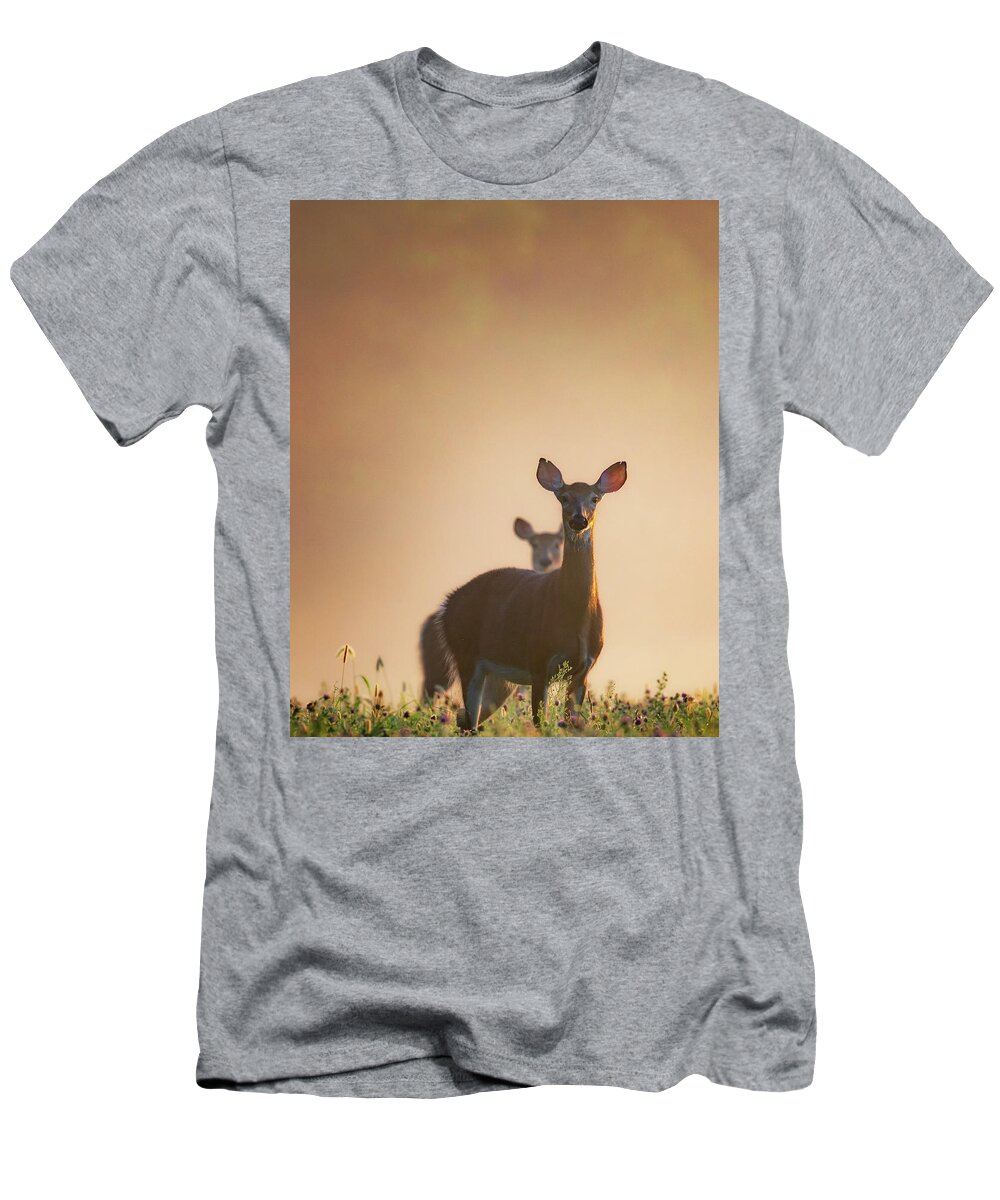 Deer T-Shirt featuring the photograph White-Tailed Deer 2016 by Bill Wakeley