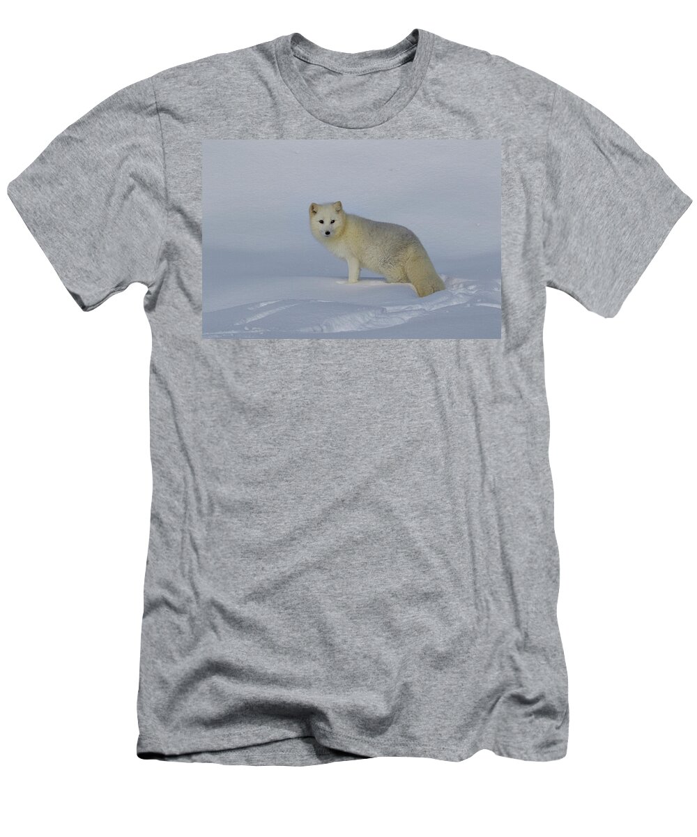 White Fox T-Shirt featuring the photograph White Wilderness by Steve McKinzie