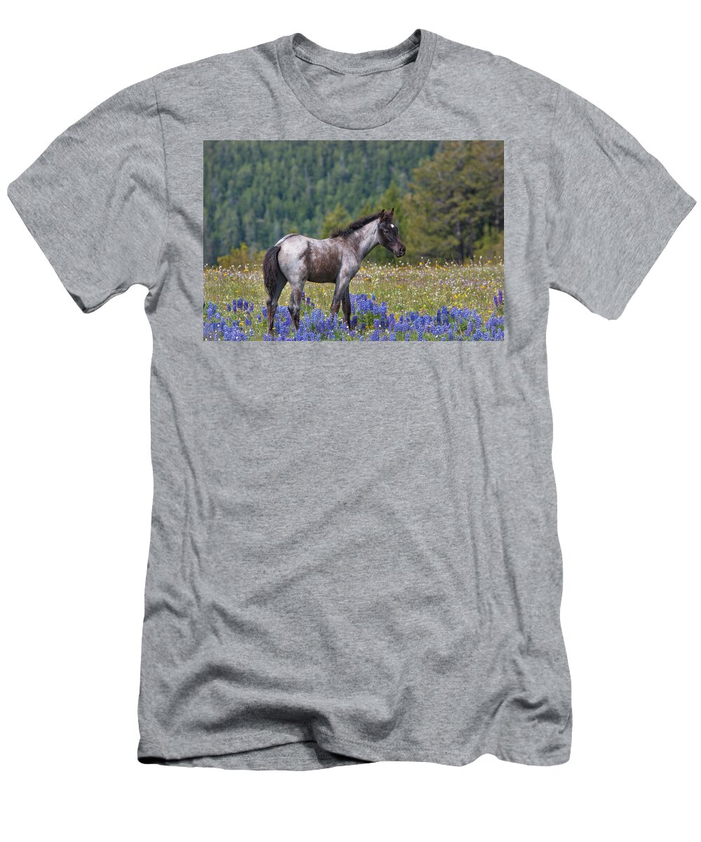 Mark Miller Photos T-Shirt featuring the photograph Wild Horse Foal in Lupines by Mark Miller