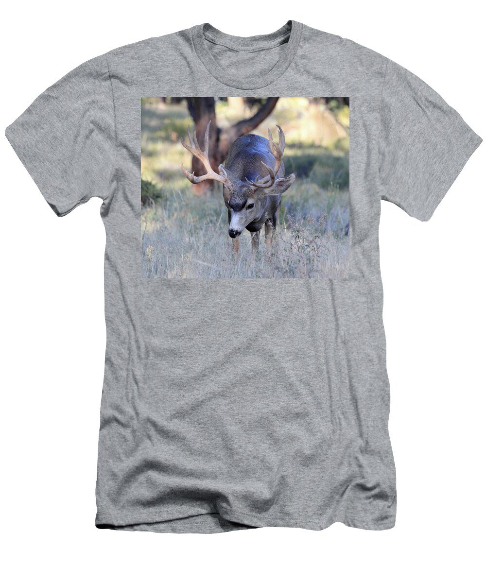 Mule Deer T-Shirt featuring the photograph Wildlife Wonder by Shane Bechler