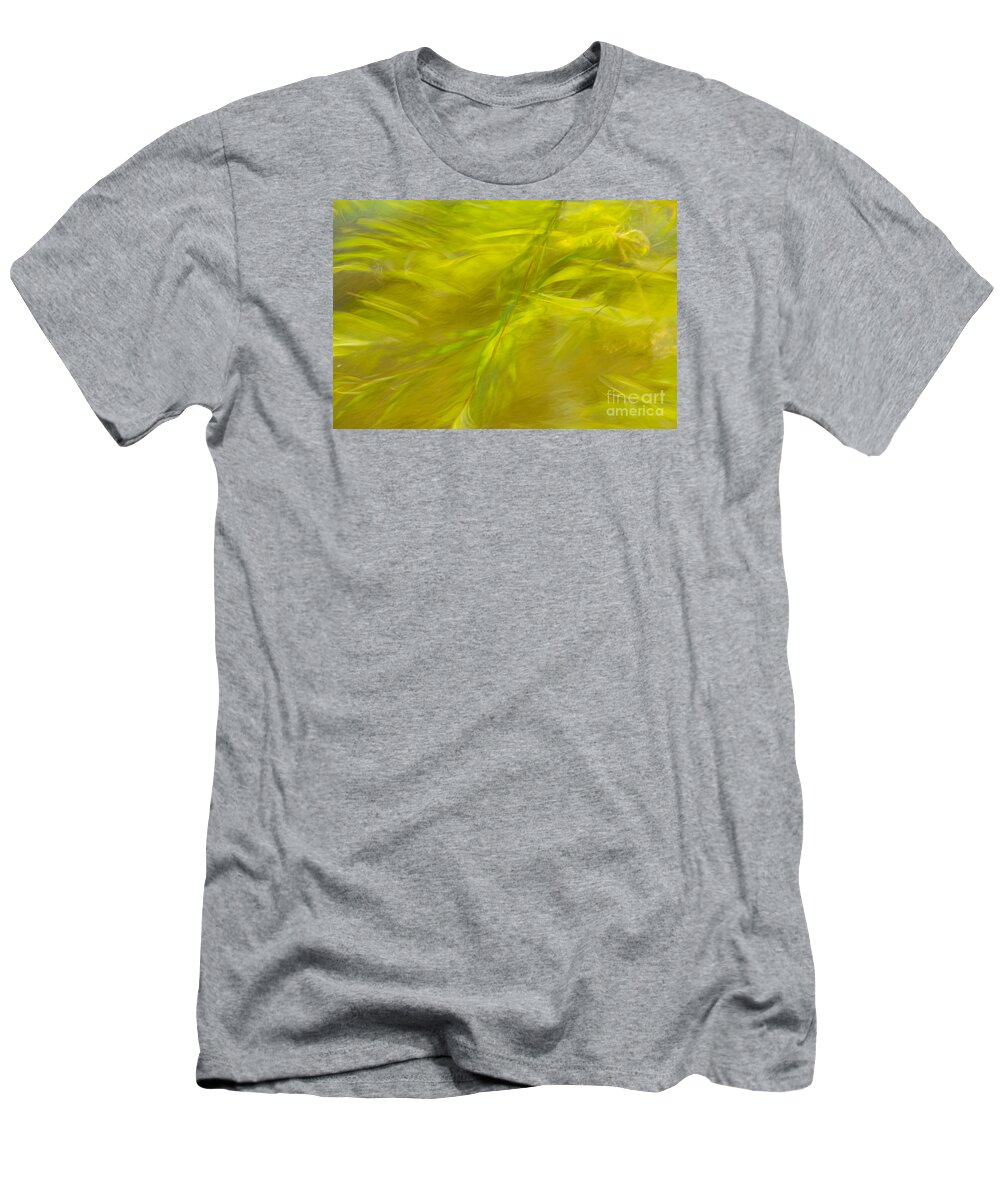 Charles Daley Park T-Shirt featuring the photograph Willow Dreaming by Marilyn Cornwell