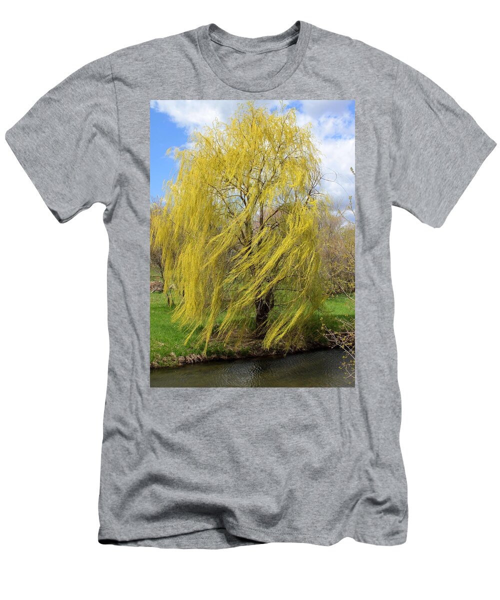 Willow T-Shirt featuring the photograph Wind in the Willow by Viviana Nadowski