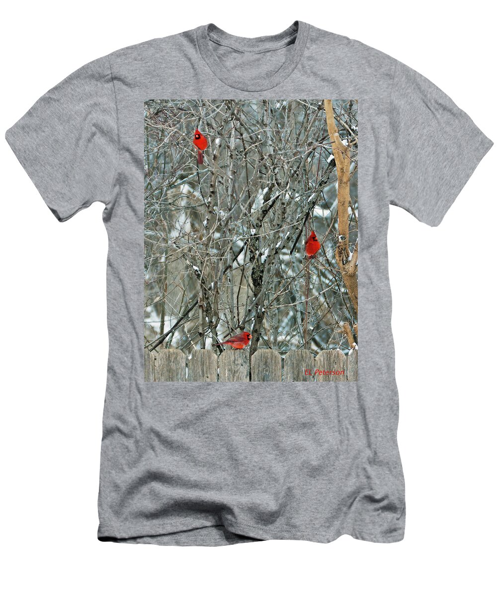 Northern Cardinal T-Shirt featuring the photograph Winter Cardinals by Ed Peterson
