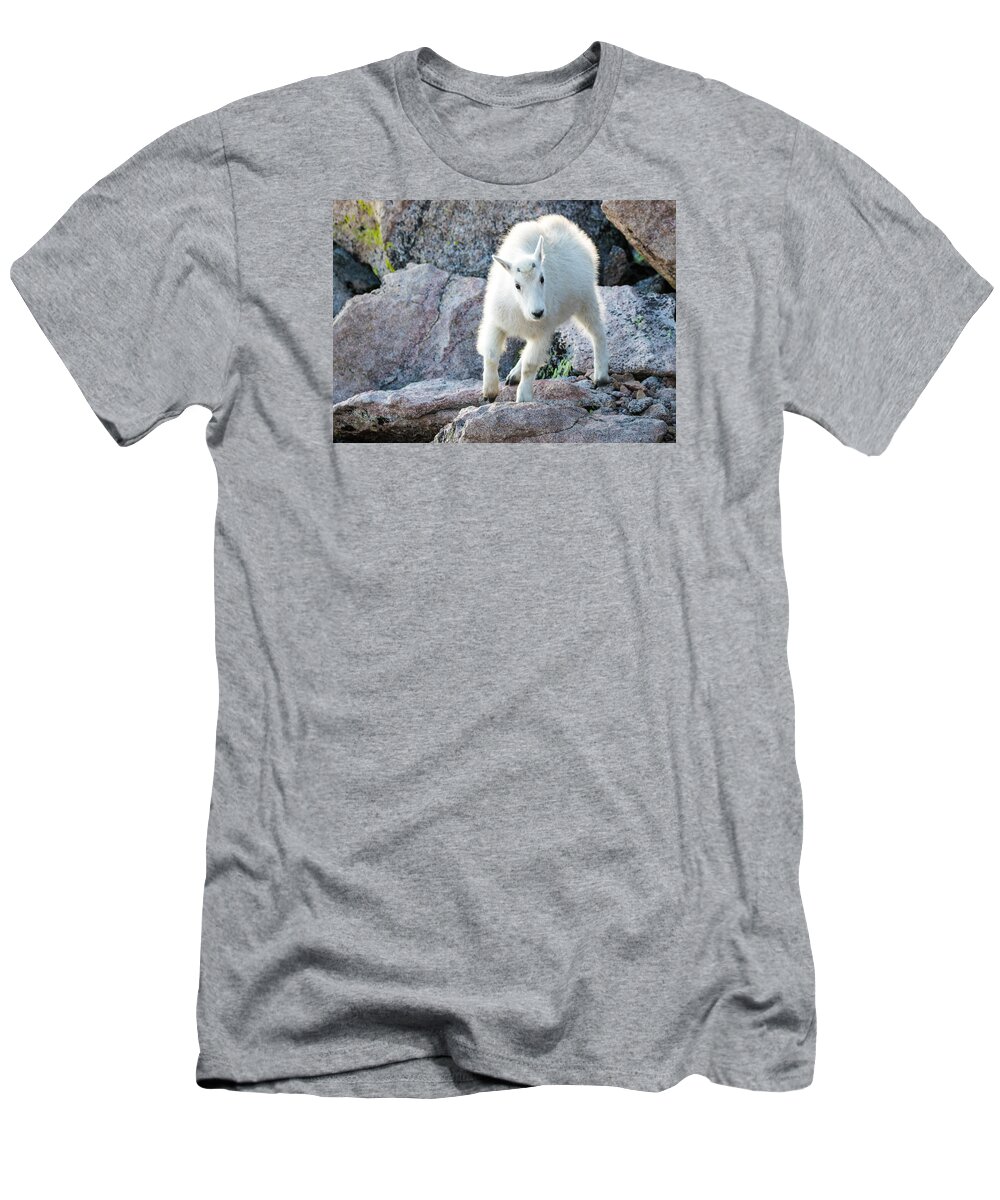 Mountain Goat T-Shirt featuring the photograph Winter Coats #2 by Mindy Musick King