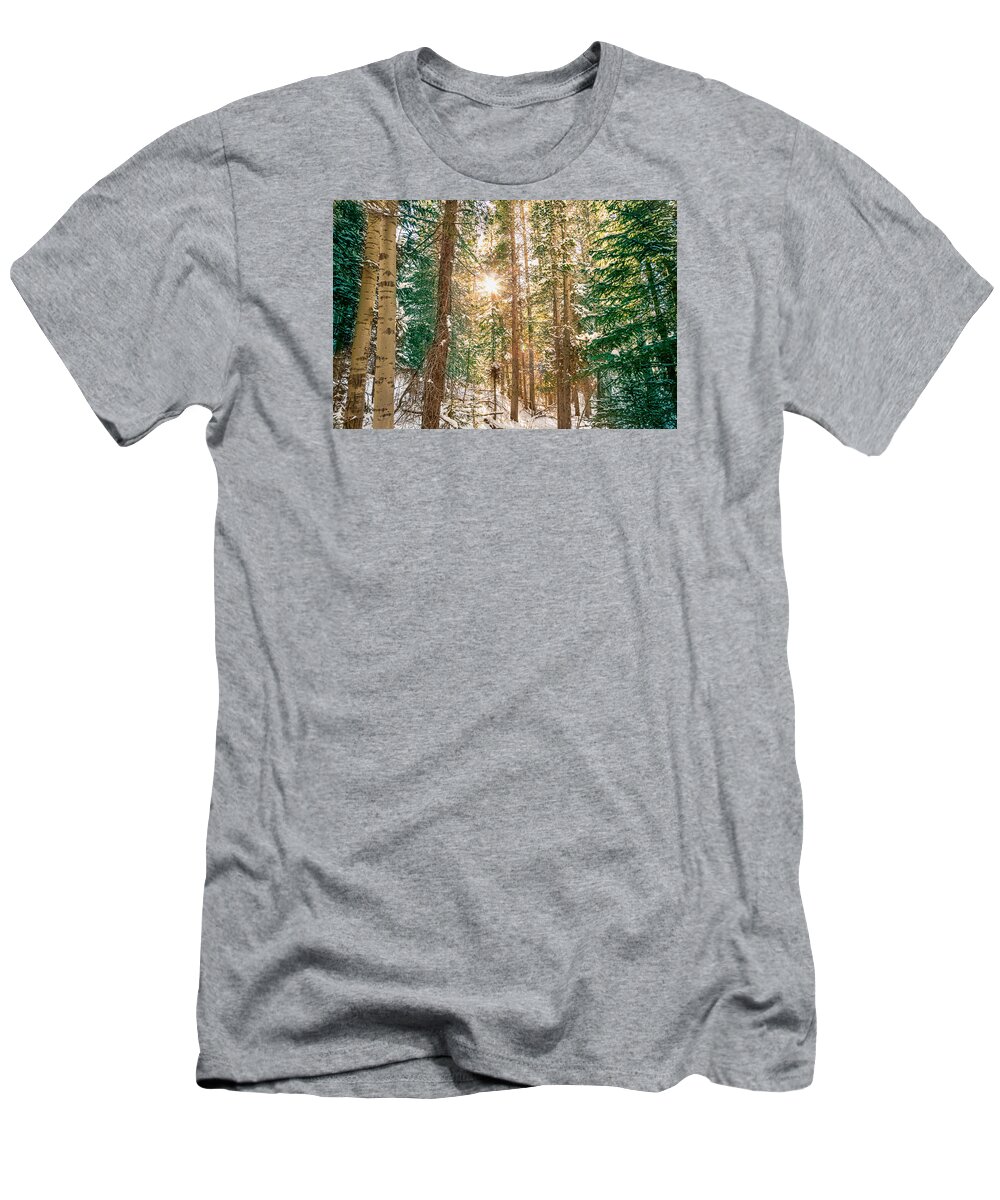 Winter T-Shirt featuring the photograph Winter Forest Sunshine by James BO Insogna