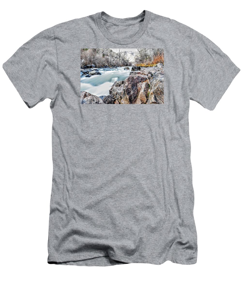 Winter T-Shirt featuring the photograph Winter Hues by Michael Brungardt