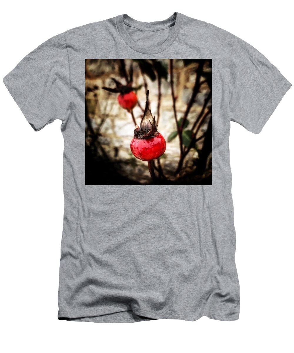 Rosehips T-Shirt featuring the photograph Winter Rose Hips by Mark Egerton