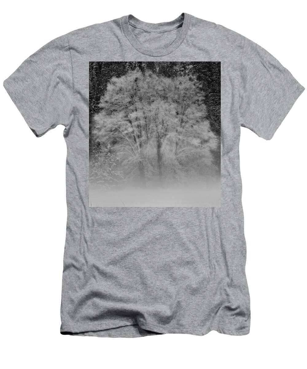 Tree T-Shirt featuring the photograph Winter Tree in Yosemite Valley by Lawrence Knutsson