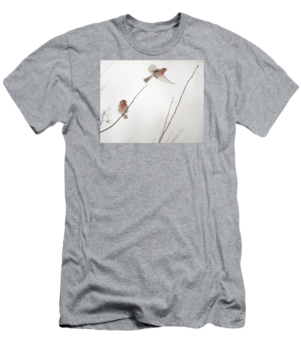 Bird T-Shirt featuring the photograph Finch Winter Wind Surfing 2 by Jill Love
