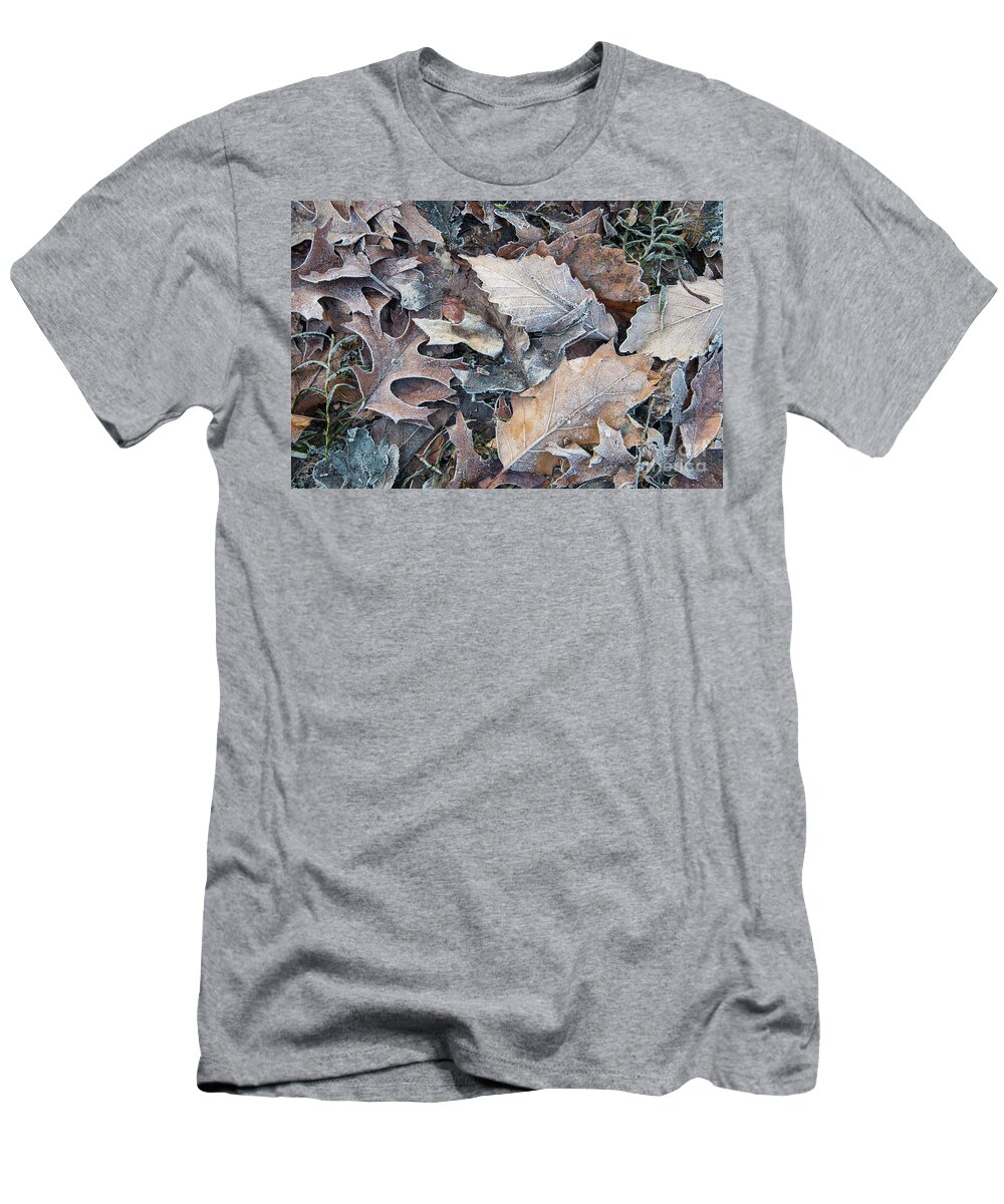 Leaves T-Shirt featuring the photograph Winters Kiss - Frost on Fallen Leaves by JG Coleman